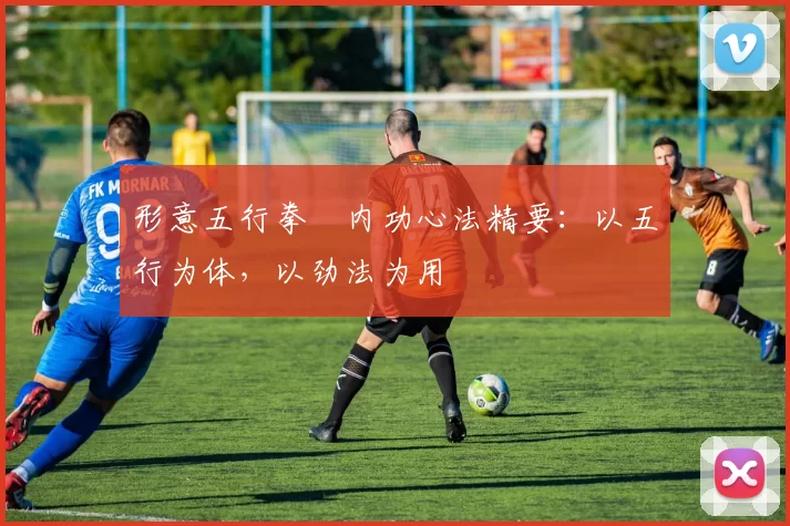 形意五行拳・内功心法精要:以五行为体,以劲法为用