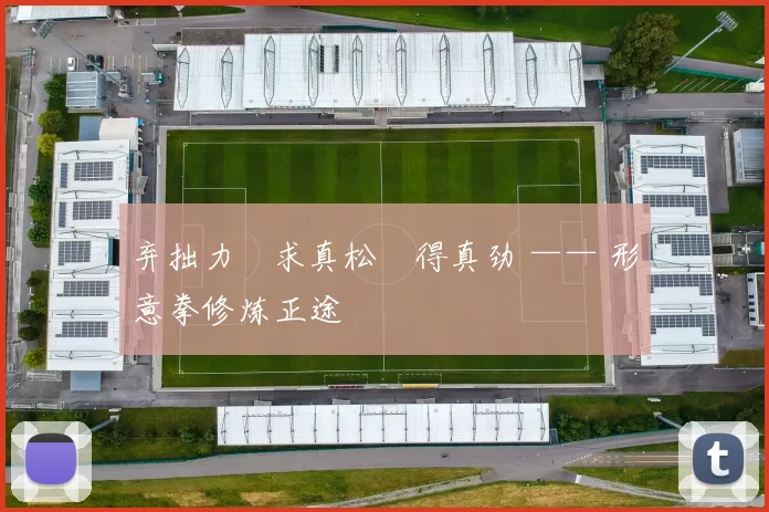 弃拙力・求真松・得真劲 —— 形意拳修炼正途