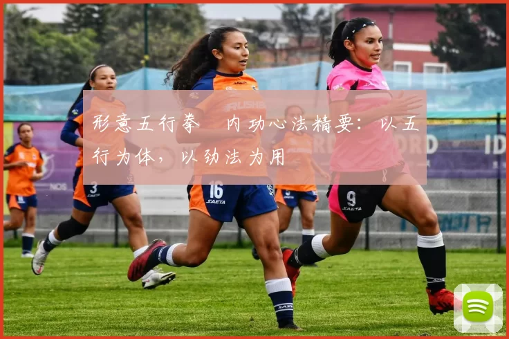 形意五行拳・内功心法精要：以五行为体，以劲法为用