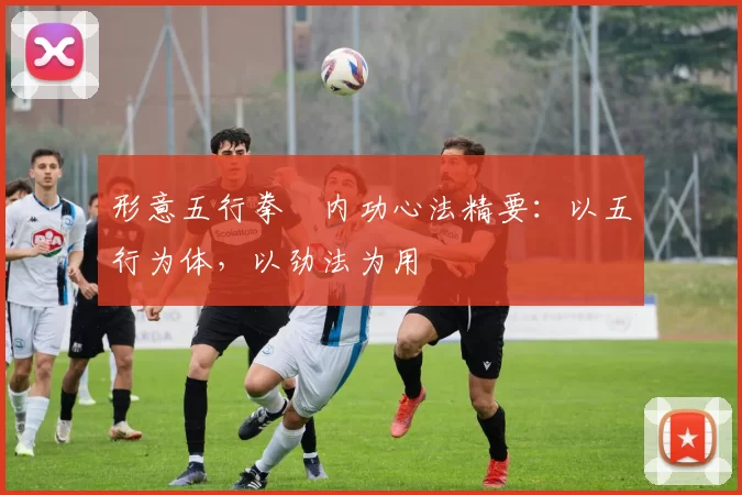 形意五行拳・内功心法精要：以五行为体，以劲法为用