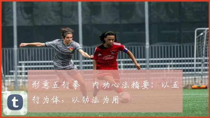 形意五行拳・内功心法精要:以五行为体,以劲法为用