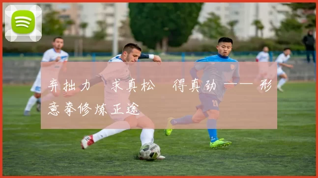 弃拙力・求真松・得真劲 —— 形意拳修炼正途