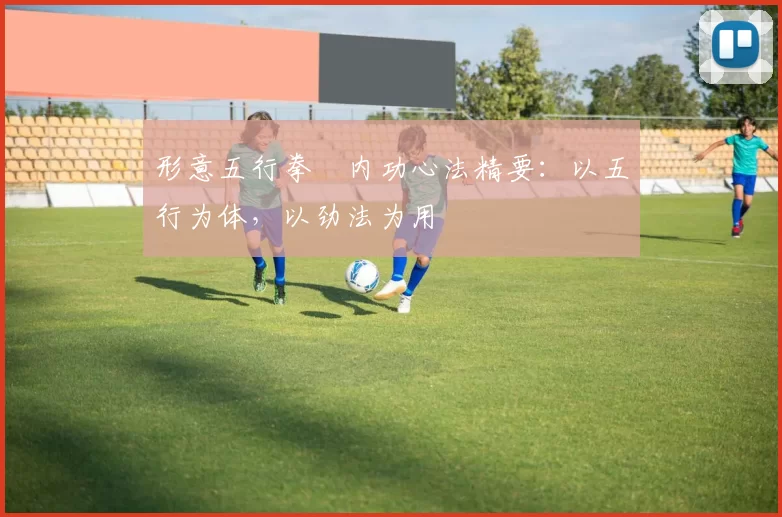 形意五行拳・内功心法精要：以五行为体，以劲法为用