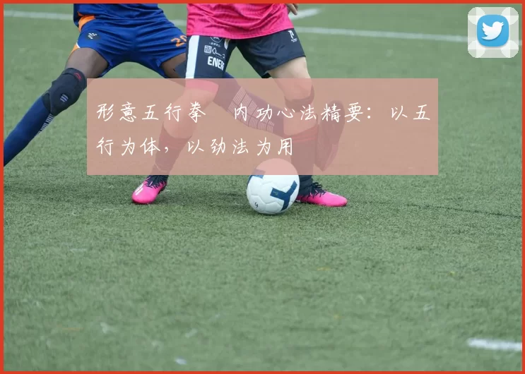 形意五行拳・内功心法精要：以五行为体，以劲法为用