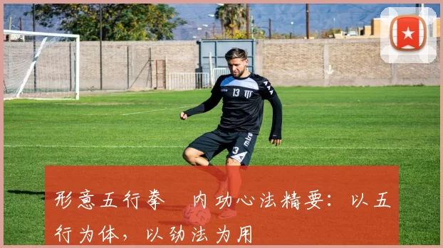 形意五行拳・内功心法精要：以五行为体，以劲法为用