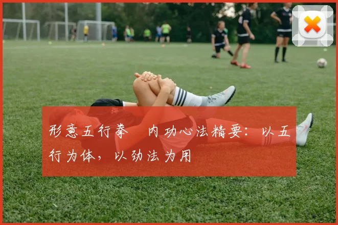 形意五行拳・内功心法精要：以五行为体，以劲法为用