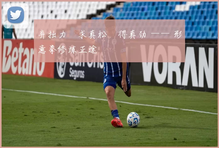 弃拙力・求真松・得真劲 —— 形意拳修炼正途