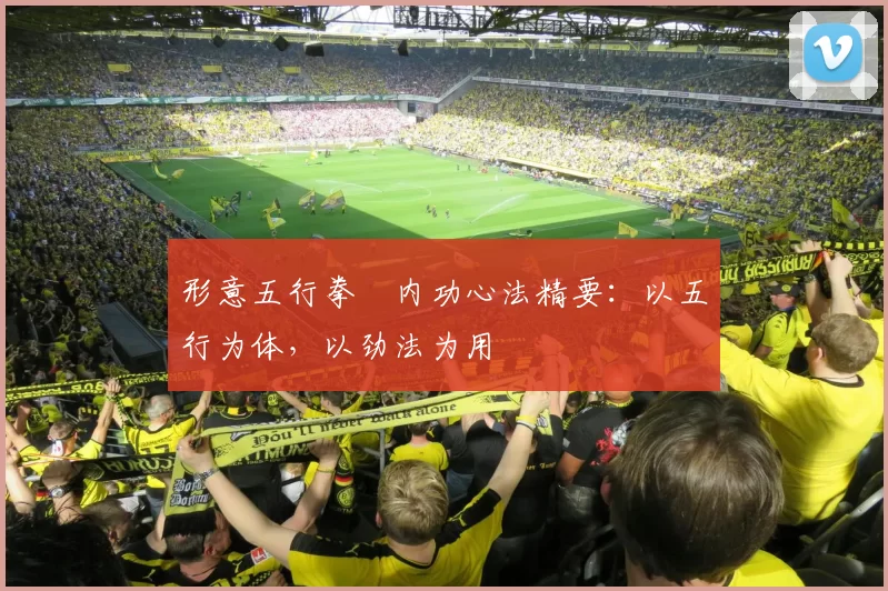 形意五行拳・内功心法精要：以五行为体，以劲法为用