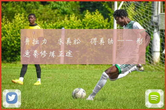 弃拙力・求真松・得真劲 —— 形意拳修炼正途