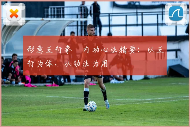 形意五行拳・内功心法精要：以五行为体，以劲法为用