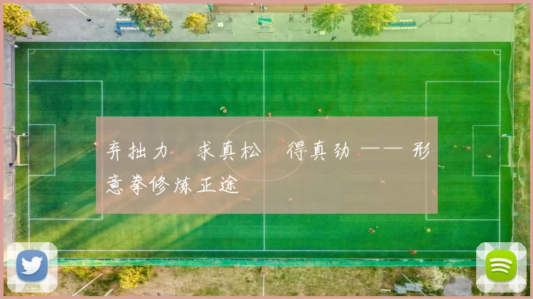 弃拙力・求真松・得真劲 —— 形意拳修炼正途