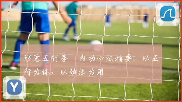 形意五行拳・内功心法精要:以五行为体,以劲法为用