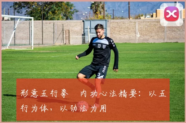 形意五行拳・内功心法精要:以五行为体,以劲法为用