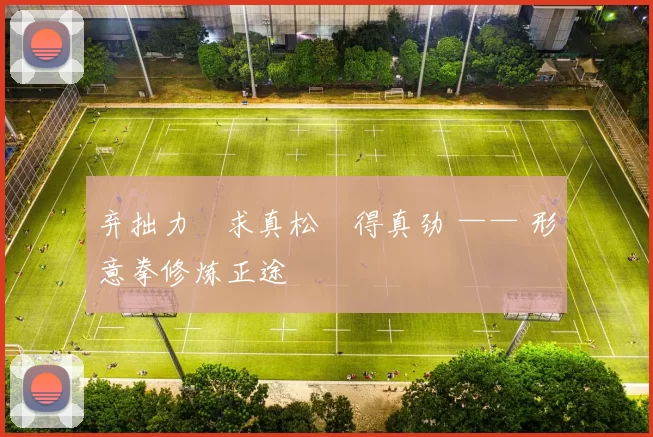 弃拙力・求真松・得真劲 —— 形意拳修炼正途