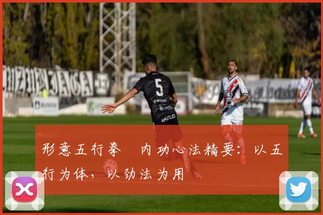 形意五行拳・内功心法精要:以五行为体,以劲法为用