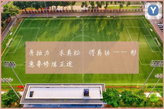 弃拙力・求真松・得真劲 —— 形意拳修炼正途