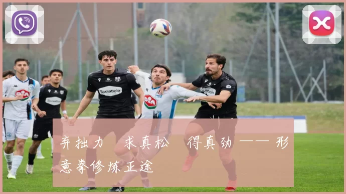 弃拙力・求真松・得真劲 —— 形意拳修炼正途