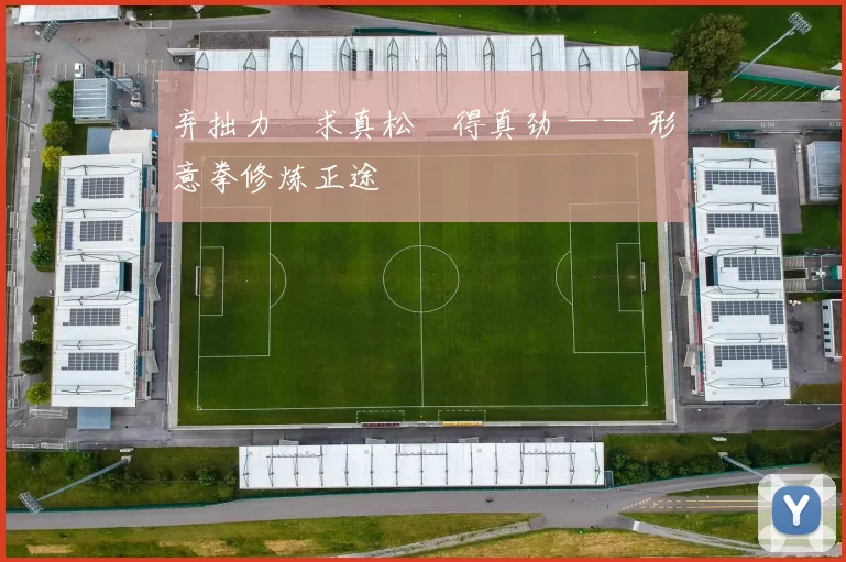 弃拙力・求真松・得真劲 —— 形意拳修炼正途