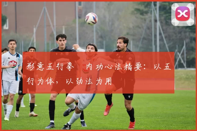 形意五行拳・内功心法精要：以五行为体，以劲法为用