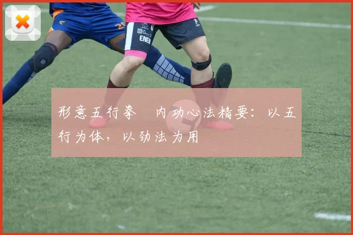 形意五行拳・内功心法精要:以五行为体,以劲法为用