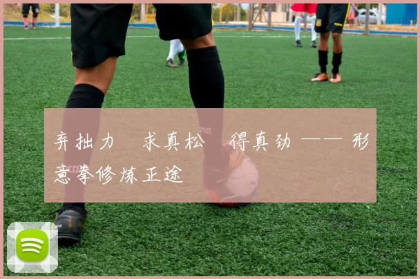 弃拙力・求真松・得真劲 —— 形意拳修炼正途