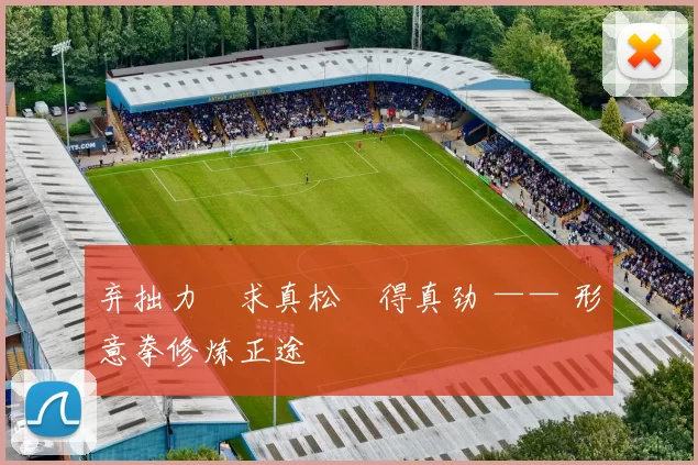 弃拙力・求真松・得真劲 —— 形意拳修炼正途