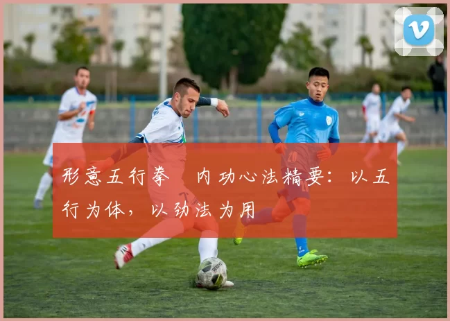 形意五行拳・内功心法精要:以五行为体,以劲法为用