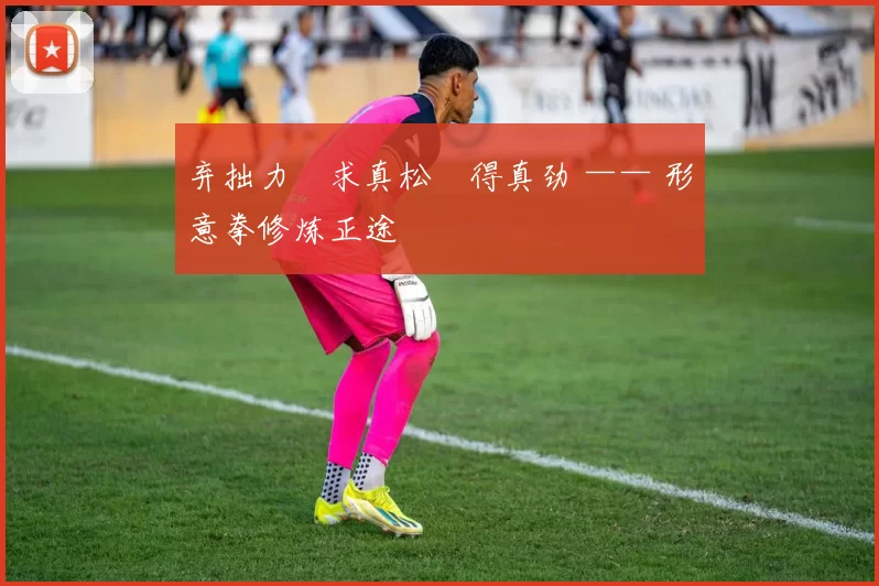 弃拙力・求真松・得真劲 —— 形意拳修炼正途