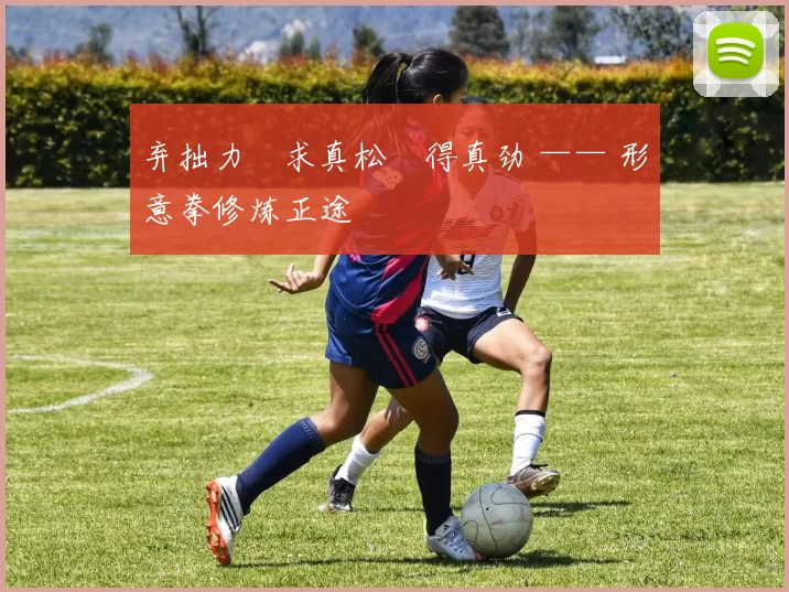 弃拙力・求真松・得真劲 —— 形意拳修炼正途