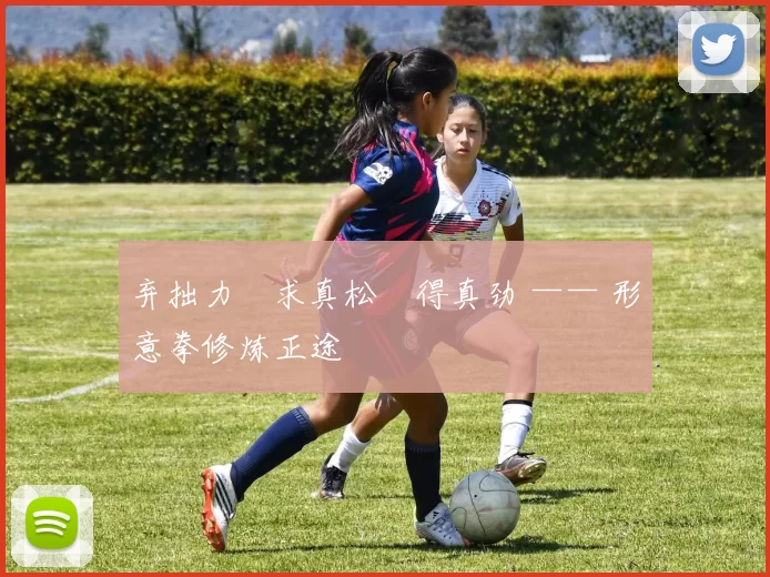 弃拙力・求真松・得真劲 —— 形意拳修炼正途