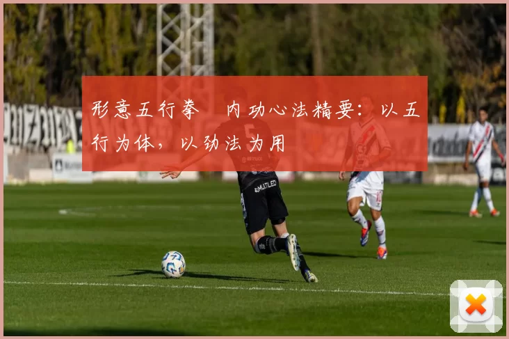 形意五行拳・内功心法精要:以五行为体,以劲法为用