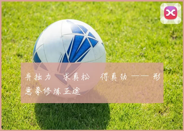 弃拙力・求真松・得真劲 —— 形意拳修炼正途