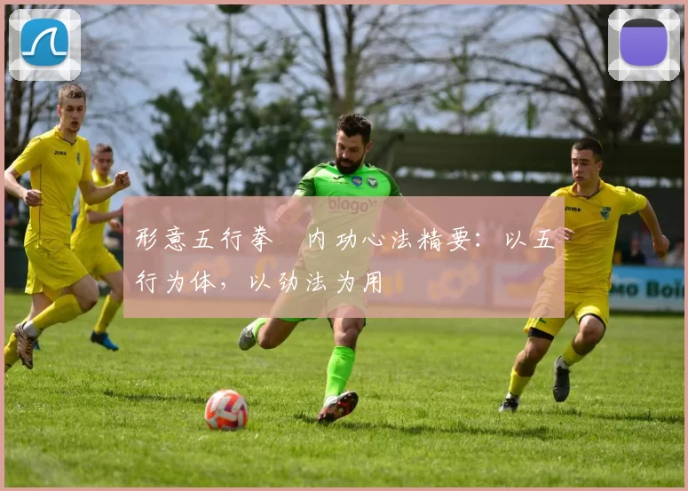 形意五行拳・内功心法精要:以五行为体,以劲法为用