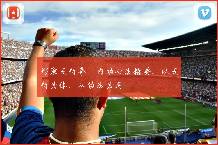 形意五行拳・内功心法精要:以五行为体,以劲法为用