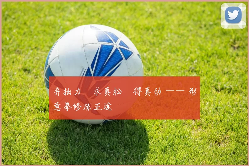 弃拙力・求真松・得真劲 —— 形意拳修炼正途