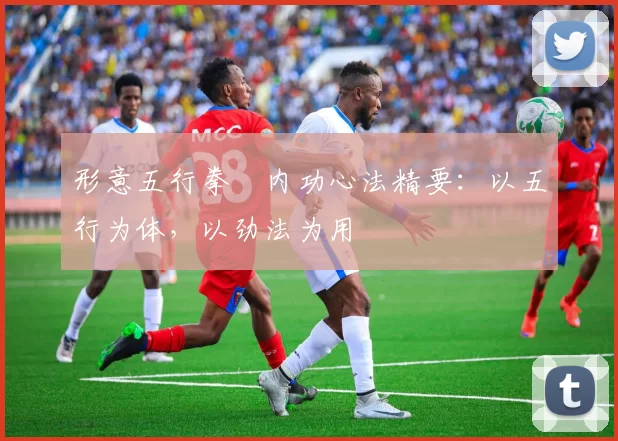 形意五行拳・内功心法精要:以五行为体,以劲法为用