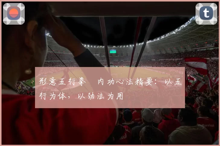 形意五行拳・内功心法精要:以五行为体,以劲法为用