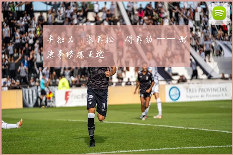 弃拙力・求真松・得真劲 —— 形意拳修炼正途