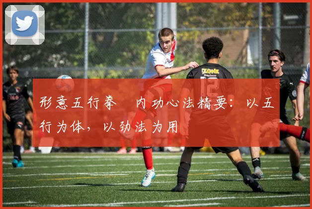 形意五行拳・内功心法精要：以五行为体，以劲法为用