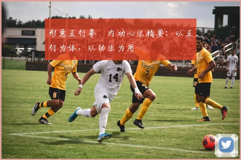 形意五行拳・内功心法精要：以五行为体，以劲法为用