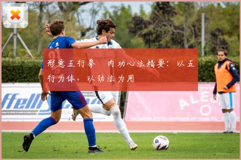 形意五行拳・内功心法精要：以五行为体，以劲法为用