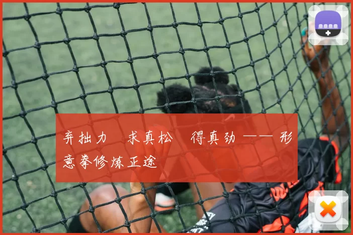 弃拙力・求真松・得真劲 —— 形意拳修炼正途