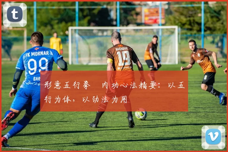 形意五行拳・内功心法精要:以五行为体,以劲法为用