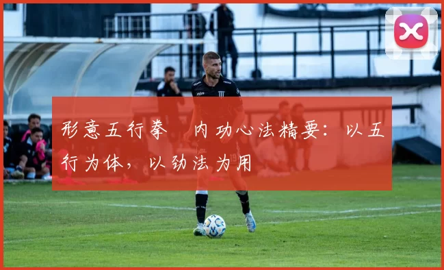 形意五行拳・内功心法精要:以五行为体,以劲法为用