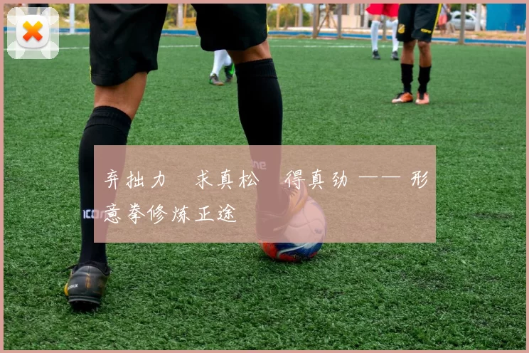 弃拙力・求真松・得真劲 —— 形意拳修炼正途