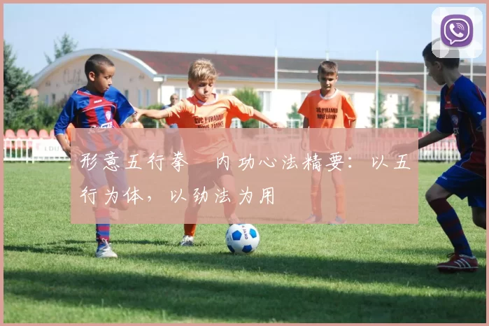 形意五行拳・内功心法精要：以五行为体，以劲法为用