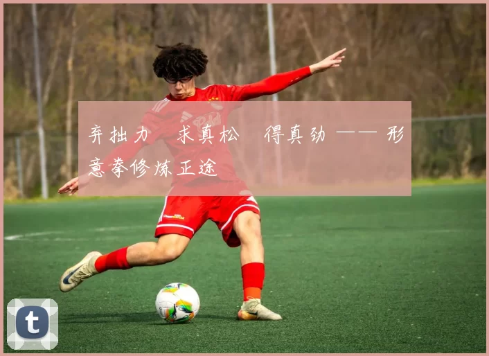 弃拙力・求真松・得真劲 —— 形意拳修炼正途