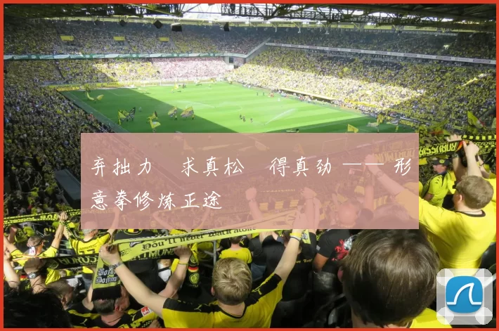 弃拙力・求真松・得真劲 —— 形意拳修炼正途