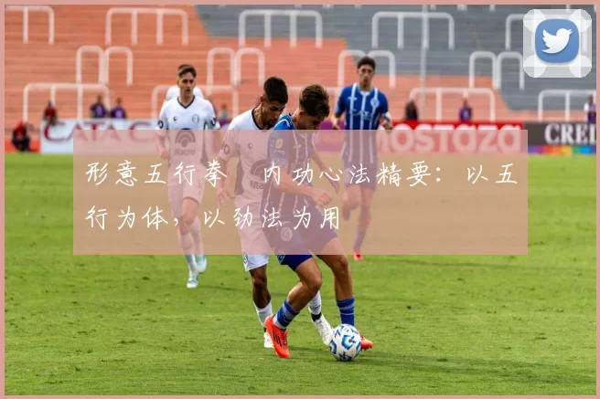 形意五行拳・内功心法精要：以五行为体，以劲法为用