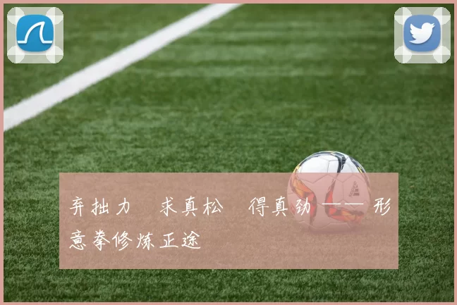 弃拙力・求真松・得真劲 —— 形意拳修炼正途